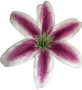 К102