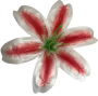 К104