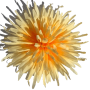 К111
