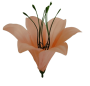 К111