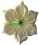 К120