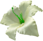 К120