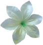 К120