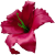 К142