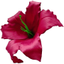 К142