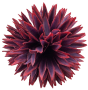 К142