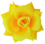 K162