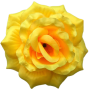 К162