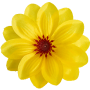K162