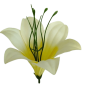 К165