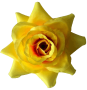 К166