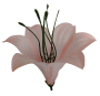 К180