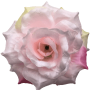 К187