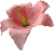 К191