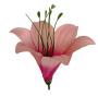 К191