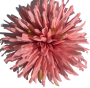 К191