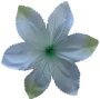 К204