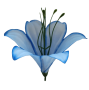К222