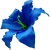 К227