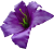 К232