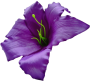 К232