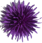 К232