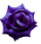 К232