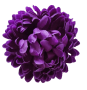 К232