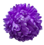 К235