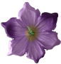 К238