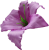 К240