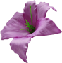 К240