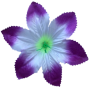 К243