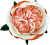 F1K132