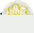 F1K165а
