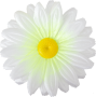 K101