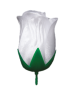 K100