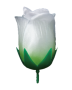 K101