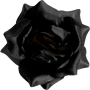 К109