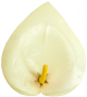 K120