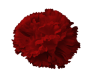 K142