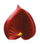 K142