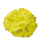K162
