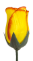 K164