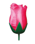 K184