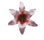 K188