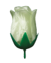 K200
