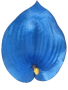 К227