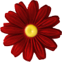 K142