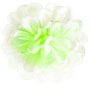 K101